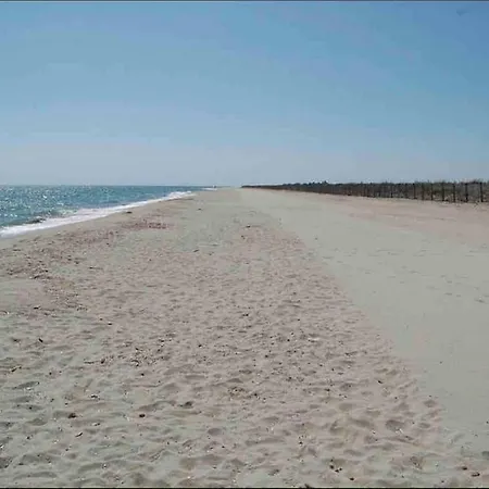 La Grande Jane Petite Bord De Borgo (Corsica)