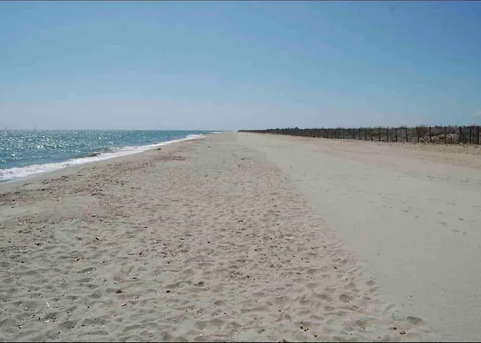 La Grande Jane Petite Bord De 博尔戈